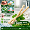 Set 5 Periuțe Naturale Miswak